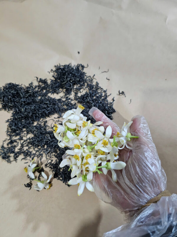 Hương bưởi (2)