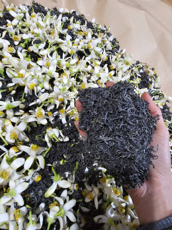 Hương bưởi (4)