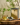 BaBan_1404.png