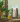 BanCha_1.png