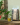 BanCha_1.png