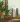 BanCha_2.png