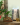 BanCha_2.png
