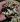 Gung-say-2.jpg