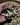 Gung-say-2.jpg