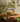 HoaCuc_1418.png