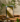 XuanDan_0710-1.png