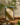 XuanDan_0710-1.png